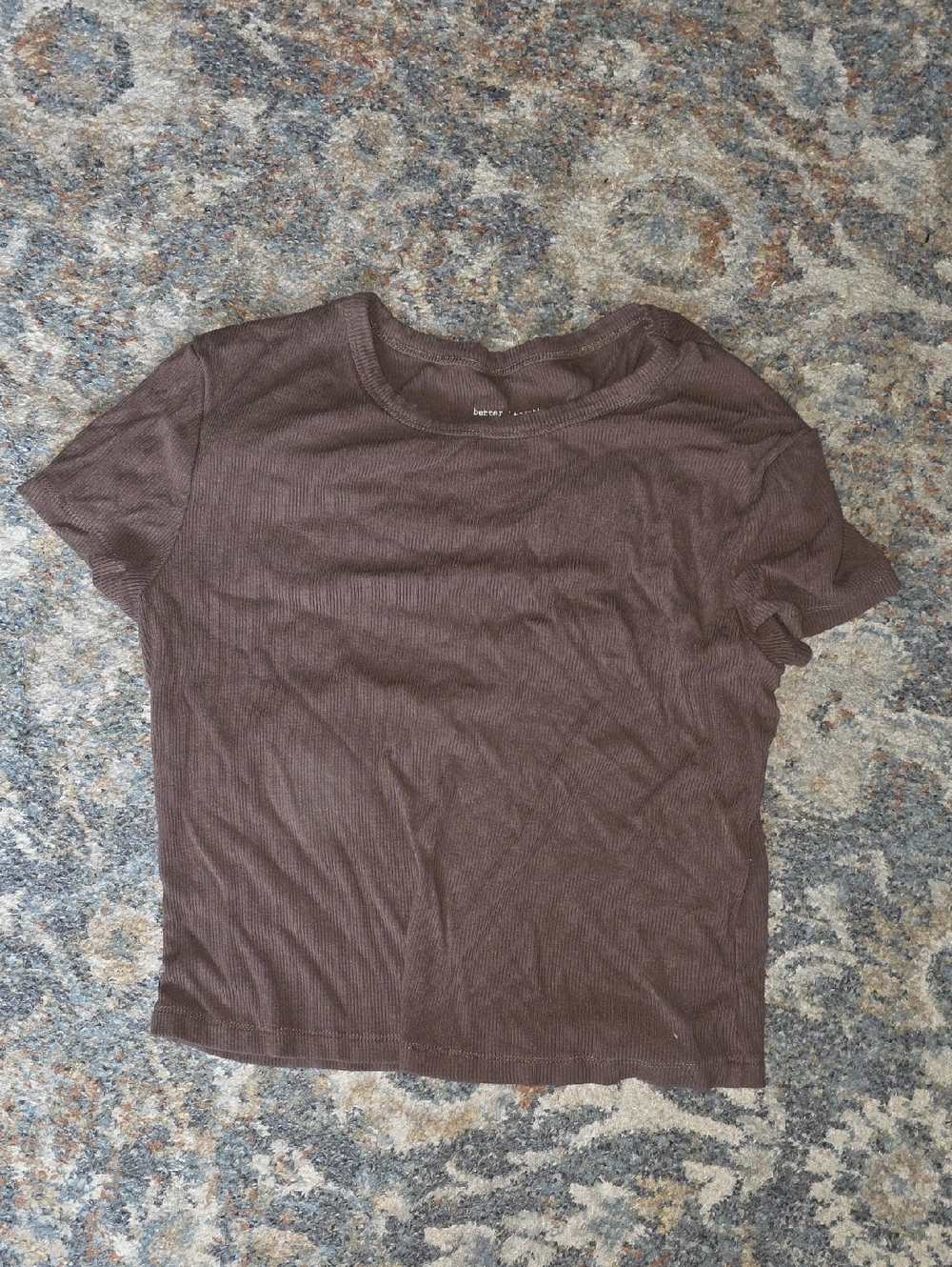 88 - Brandy Melville Brown Ribbed Short Sleeve Crop Top